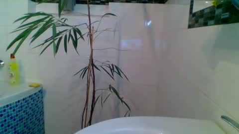 Snapshot of piwo58 chatting on 6, 3, 2025 piwo58 online show from 6, 3, 2025