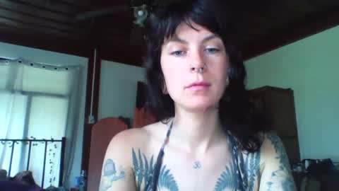 pixiecatfairy online show from 23, 11, 2025