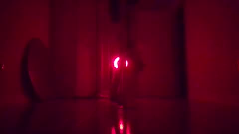 Planetvee online show from 7, 11, 2025