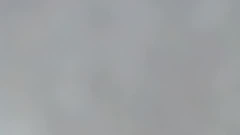 playboypetit online show from 13, 1, 2025