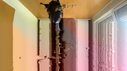 Snapshot of playdog123 chatting on 12, 10, 2025 playdog123 online show from 12, 10, 2025