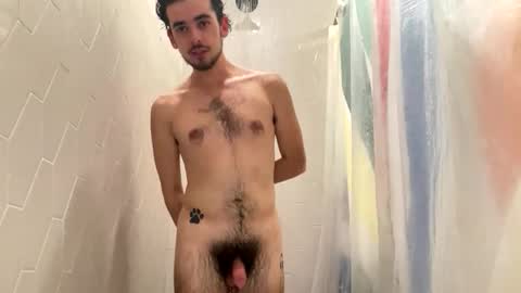 Snapshot of plutothepuppy chatting on 18, 11, 2025 Pluto The Pup online show from 18, 11, 2025