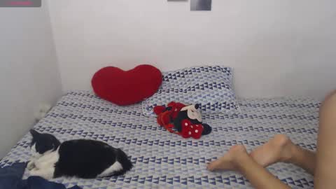 Pocahontas online show from 4, 2, 2026