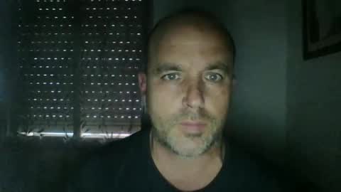 pocoyotop online show from 23, 12, 2024