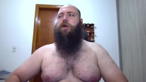 Bear online show from 4, 2, 2025