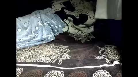 Snapshot of pollachico chatting on 18, 2, 2026 pollachico online show from 18, 2, 2026