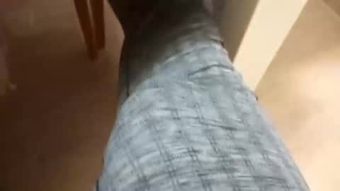 Snapshot of pollonmix chatting on 4, 12, 2024 pollonmix online show from 4, 12, 2024