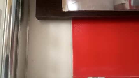 Snapshot of pollonmix chatting on 11, 9, 2025 pollonmix online show from 11, 9, 2025