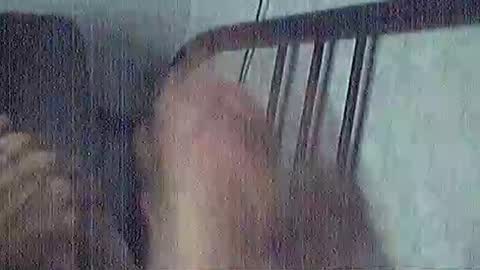 Snapshot of polochar chatting on 15, 3, 2026 polochar online show from 15, 3, 2026