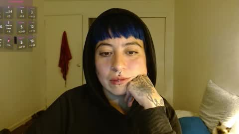 Poly online show from 16, 2, 2026