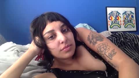 polymamii online show from 2, 3, 2026