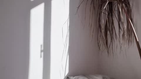 Polina online show from 17, 10, 2025