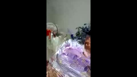 pompeche2 online show from 25, 3, 2026