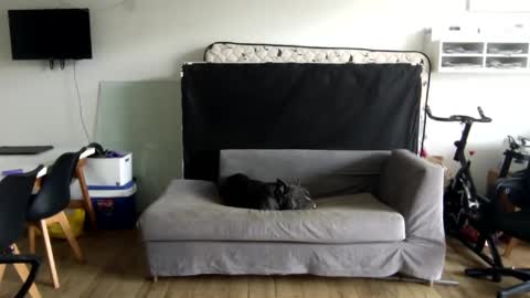 Snapshot of popopo00 chatting on 28, 1, 2025 popopo0 online show from 28, 1, 2025