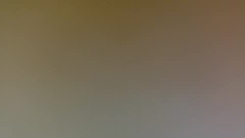 Poprigyn53535 online show from 13, 9, 2025