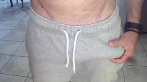 porcellobolognese online show from 29, 10, 2025