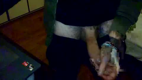 porcellobolognese online show from 11, 1, 2026