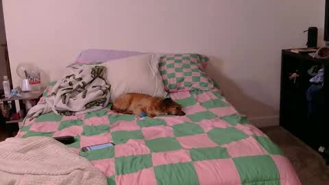 PAWG Pale Princess online show from 19, 10, 2025