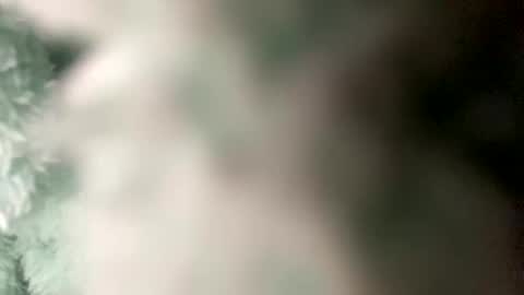 Snapshot of pretty_boy_jack chatting on 20, 12, 2024 pretty_boy_jack online show from 20, 12, 2024