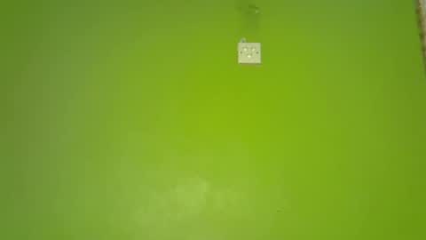 Snapshot of pretty_g2 chatting on 1, 12, 2025 pretty_g2 online show from 1, 12, 2025