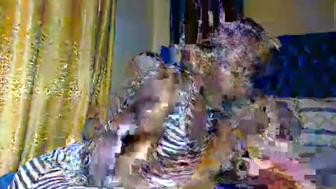 sasha online show from 10, 11, 2025