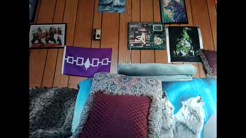 prettysolid7 online show from 3, 3, 2026