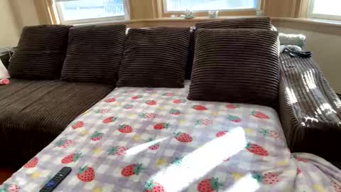 Princess Arii online show from 5, 12, 2025