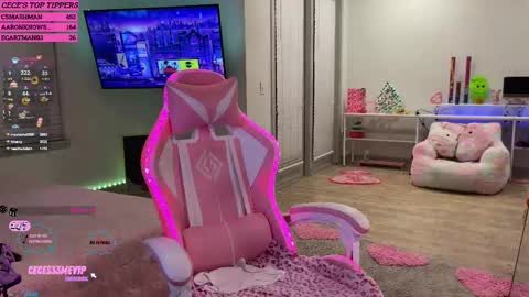 Cece  NEXT LIVESTREAM -- DEC. 4th  7 PM CST online show from 12, 2, 2025