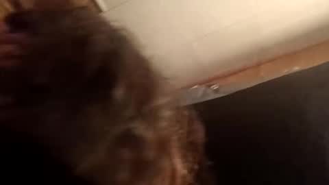 princessbrii537133 online show from 22, 11, 2025