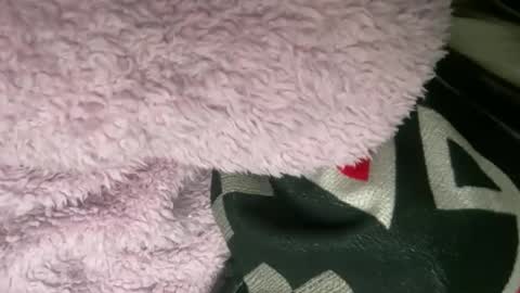 princessoftenis44 online show from 26, 11, 2025