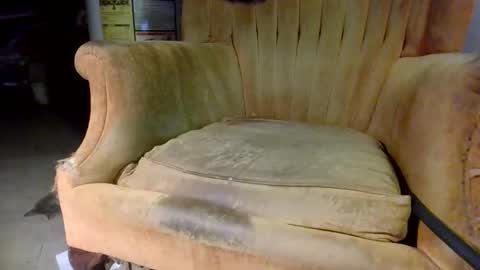 Snapshot of pspee313 chatting on 31, 10, 2025 pspee313 online show from 31, 10, 2025