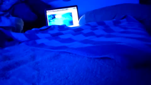 ptut82 online show from 26, 10, 2025