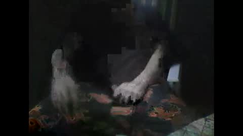 Snapshot of ptyp1973 chatting on 28, 1, 2025 ptyp1973 online show from 28, 1, 2025