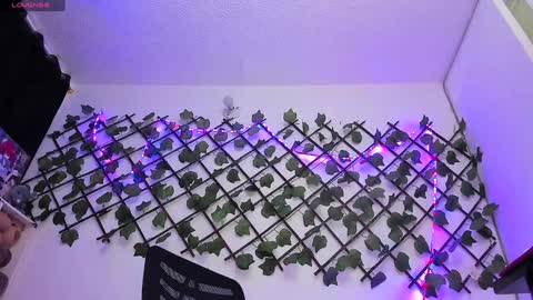 Snapshot of pucaa_ chatting on 24, 1, 2025 Emma Rico model indep online show from 24, 1, 2025