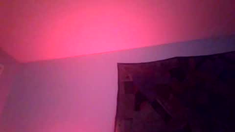 puffer101 online show from 25, 3, 2026