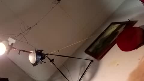 pulepower online show from 23, 12, 2024