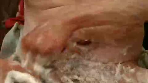 pulepower online show from 23, 11, 2025