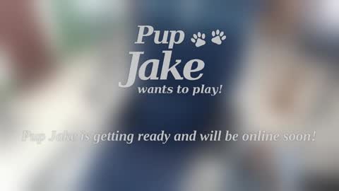 Snapshot of pup_jake chatting on 5, 1, 2025 Pup Jake wants to play online show from 5, 1, 2025