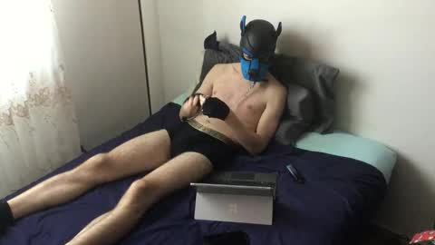 Snapshot of pup_toby chatting on 5, 11, 2025 Toby online show from 5, 11, 2025