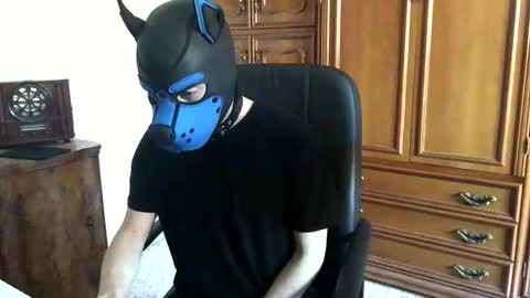 Snapshot of pup_toby chatting on 7, 11, 2025 Toby online show from 7, 11, 2025