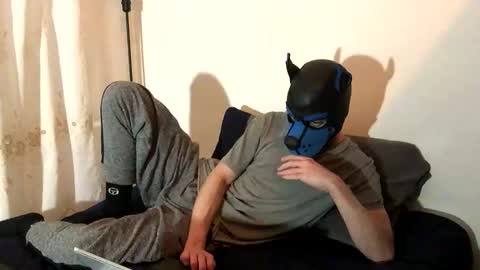 Snapshot of pup_toby chatting on 13, 11, 2025 Toby online show from 13, 11, 2025