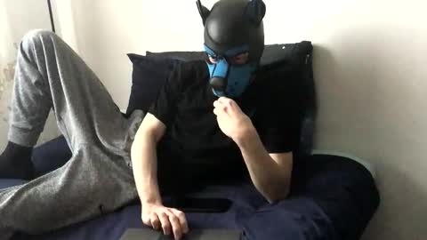 Snapshot of pup_toby chatting on 20, 11, 2025 Toby online show from 20, 11, 2025