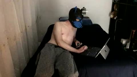 Snapshot of pup_toby chatting on 23, 11, 2025 Toby online show from 23, 11, 2025