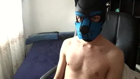 Snapshot of pup_toby chatting on 25, 11, 2025 Toby online show from 25, 11, 2025