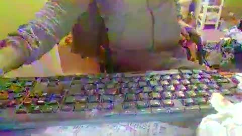 pup_y online show from 22, 12, 2025