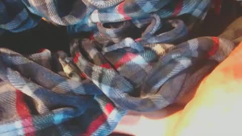 Snapshot of pupscrote chatting on 17, 1, 2025 Pup Scrote online show from 17, 1, 2025