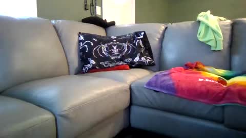 Jelly online show from 6, 2, 2025