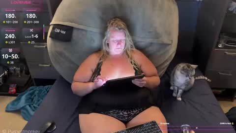 purplestmonkey online show from 16, 9, 2025