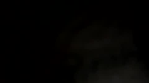 puss123176428 online show from 26, 12, 2024