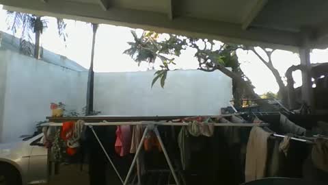 Python online show from 9, 10, 2025